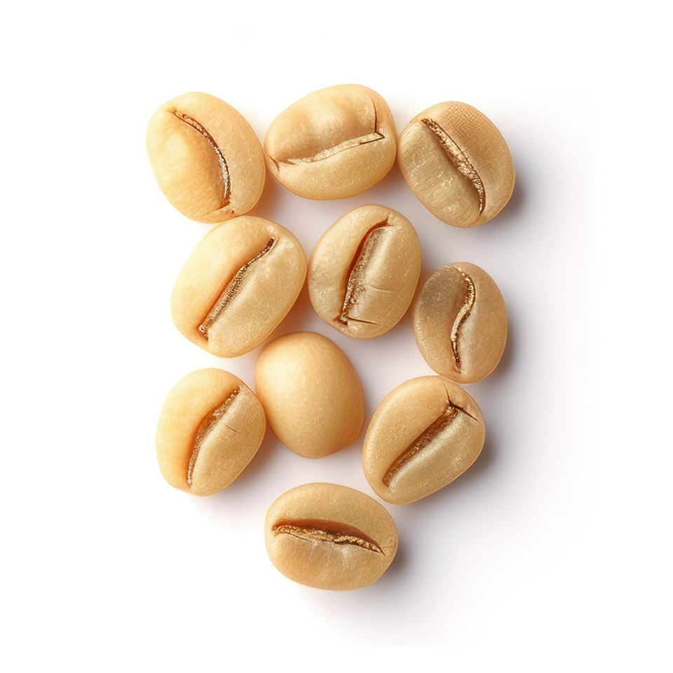 Kafferistning tørring Homeroast