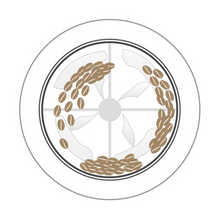 Santoker R3 Kafferister Home Roast