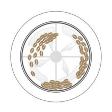 Santoker R6 Kafferister Home Roast