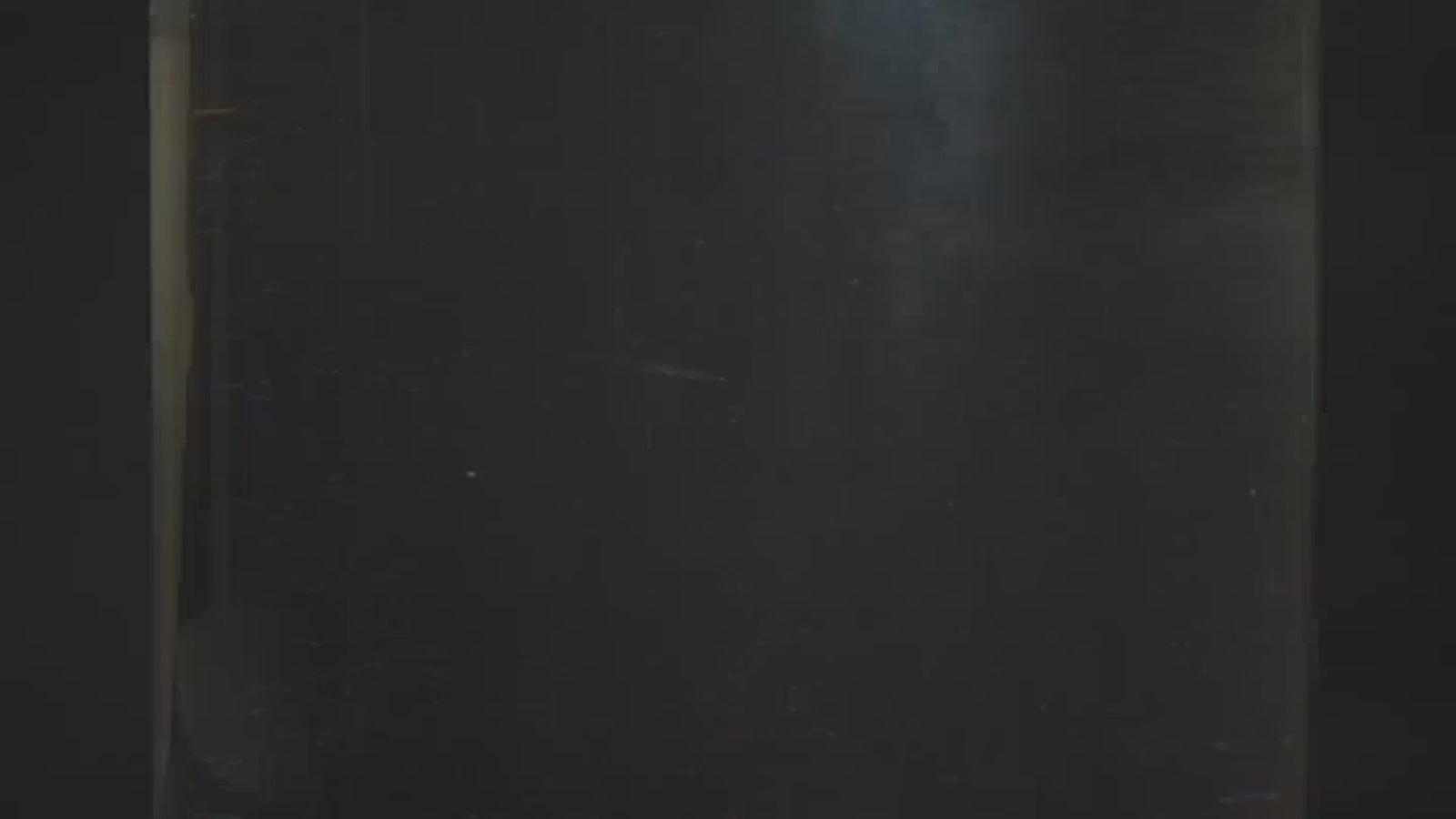 DiFluid R2 Extract hos Home Roast